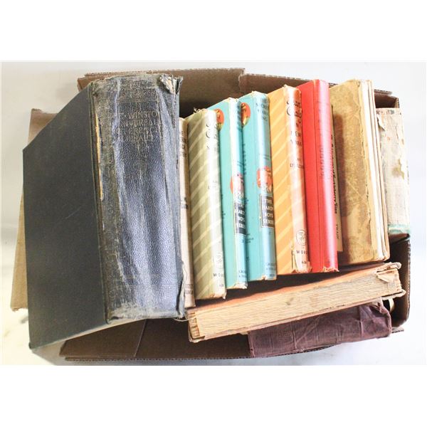 VINTAGE BOOKS INCLUDING THE BOBSEY TWINS,