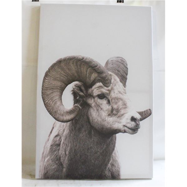 BIG HORN SHEEP CANVAS WALL ART LARGE