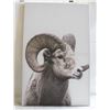 Image 1 : BIG HORN SHEEP CANVAS WALL ART LARGE
