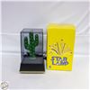 Image 1 : STAR LAMP CACTUS
