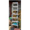 Image 1 : 12 STEP EXTENTION LADDER