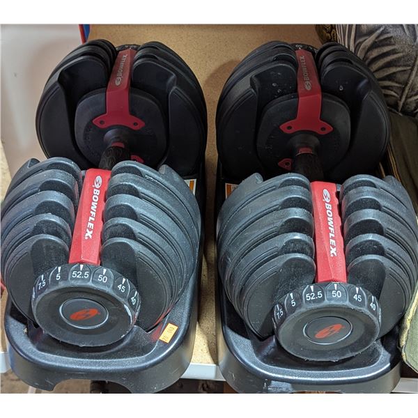 Pair of Adjustable Bowflex Dumbells