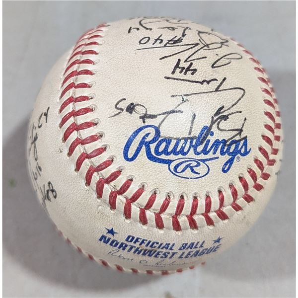 Rawlings Baseball w/ Multiple Unauthenticated Signatures