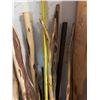 Image 4 : Large Selection of Handcrafted Walking Sticks with Cleaned Knots