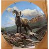 Image 3 : 5 Wildlife and Floral Collector Plates with Holders