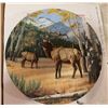 Image 4 : 5 Wildlife and Floral Collector Plates with Holders