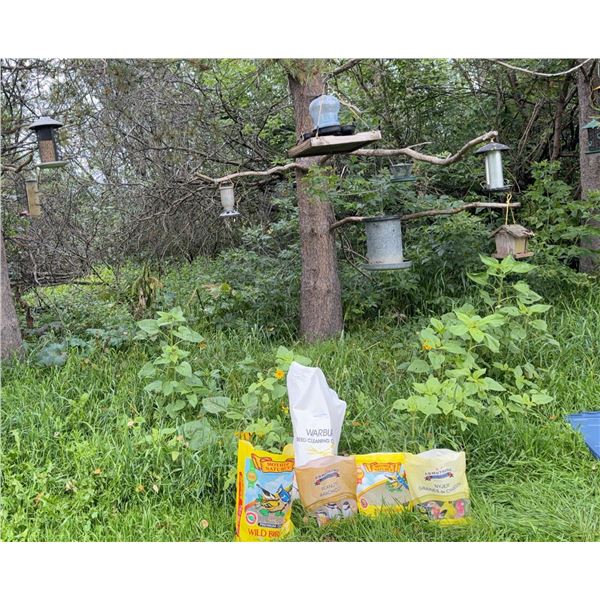 Bird Feeders and Seed