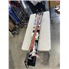 Image 1 : PAIR OF RISSIGNOLTORRION BOX SKI'S AND SKI POOLS