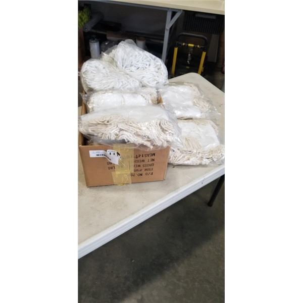 CASE OF MOP REPLACEMENTS