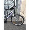 Image 3 : SILVER SUPERCYCLE BIKE