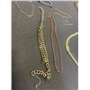 Image 3 : GOLD TONE AND ASSORTED CHAINS