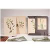Image 2 : Folio containing twenty two Blumen-Atlas botanical floral prints, each approximately 9 1/2" X 6 1/2,