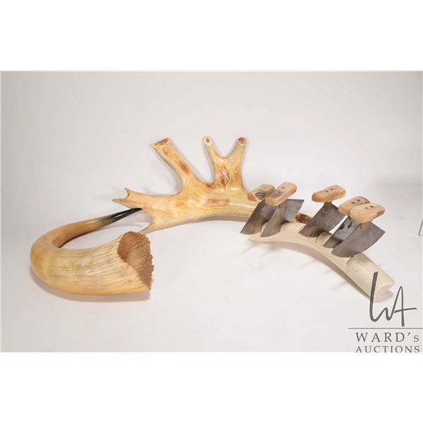 Set of five hand made skinning knives with horn handles on antler base plus a 20" steer horn and a c