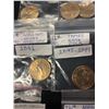 Image 6 : 22 US Presidential $1 Coins