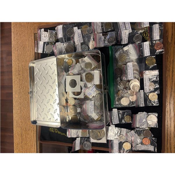 Extensive Labeled World Coin Collection Assortment