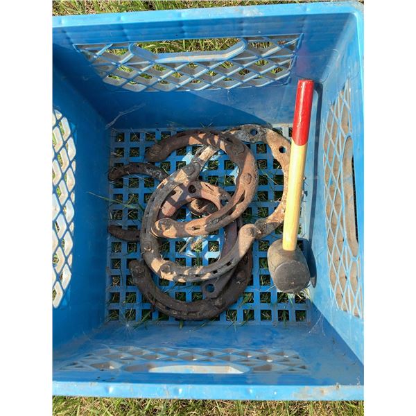 Used Horseshoes and Rubber Mallet