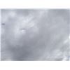 Image 4 : Empty Lot
