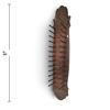 Image 2 : Antique Carved Wood Wall Rack with Dual Rows of Pegs and Ornate Panels, 48 Inches Long