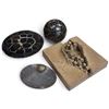 Image 1 : Geological Stone Collection & Carved Block w Fossil & Spherical Designs