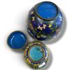 Image 4 : Pair of Chinese Cloisonné Enamel Vases Floral & Scroll Designs Tallest is 7.5" Tall