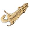 Image 1 : Vintage Coyote Pelt Rug with Head, Legs & Bushy Tail, Government Stamped Tanned Hide, 56 Inches Long