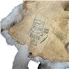 Image 4 : Vintage Coyote Pelt Rug with Head, Legs & Bushy Tail, Government Stamped Tanned Hide, 56 Inches Long
