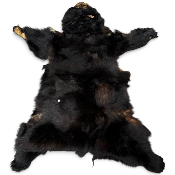 Large Black Animal Pelt w Tanned Hide Underside 56" Long