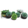 Image 1 : Collection of Decorative Artificial Topiary & Agave Plants