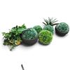 Image 2 : Collection of Decorative Artificial Topiary & Agave Plants