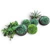 Image 3 : Collection of Decorative Artificial Topiary & Agave Plants