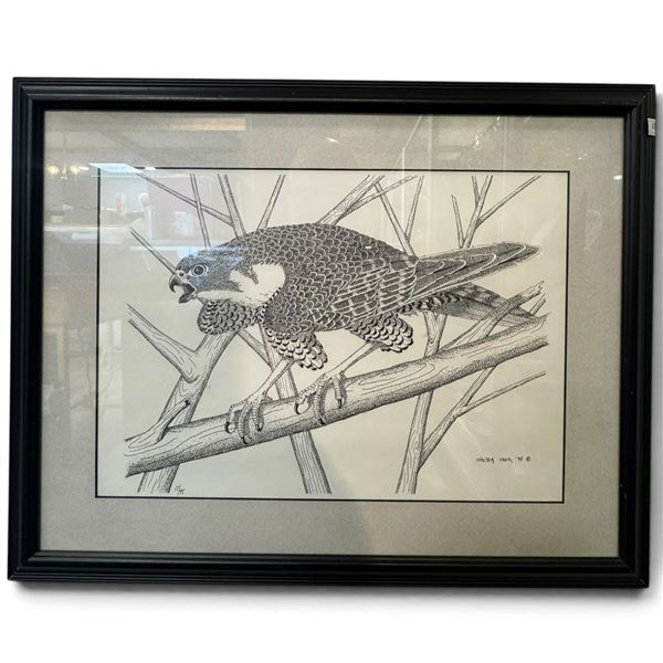 Walter Deck Falcon Print, 1994, Limited Edition 17/95, Framed 14.75x18.5"