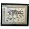 Image 1 : Walter Deck Falcon Print, 1994, Limited Edition 17/95, Framed 14.75x18.5"