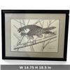 Image 2 : Walter Deck Falcon Print, 1994, Limited Edition 17/95, Framed 14.75x18.5"