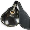Image 2 : Esteban American Legacy ALC-200 Black Cutaway Acoustic-Electric Guitar & Hard Case