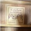 Image 3 : Esteban American Legacy ALC-200 Black Cutaway Acoustic-Electric Guitar & Hard Case