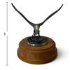 Image 2 : Signed Kane '88 Canadian Cast Metal Eagle Catching Fish Sculpture on Wood Base (5 in.)