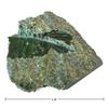 Image 2 : Dark Green Jade Boulder Specimen with Polished Faces (8 x 7 x 3.25 in.)