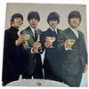 Image 18 : Beatles LP Bundle: 1967-1970, Love Songs, Help!, Rarities, Budokan '66