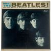Image 8 : Beatles LPs & Jackets: David Wigg Interviews Blue Vinyl 2LP, Capitol Titles, Unofficials