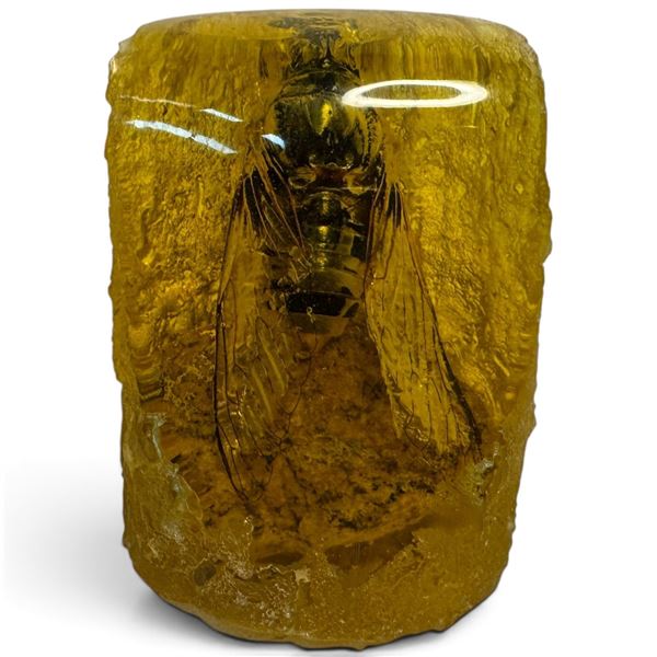Insect in Amber-Style Resin * 3" tall x 2.5" diameter