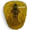 Image 3 : Insect in Amber-Style Resin * 3" tall x 2.5" diameter