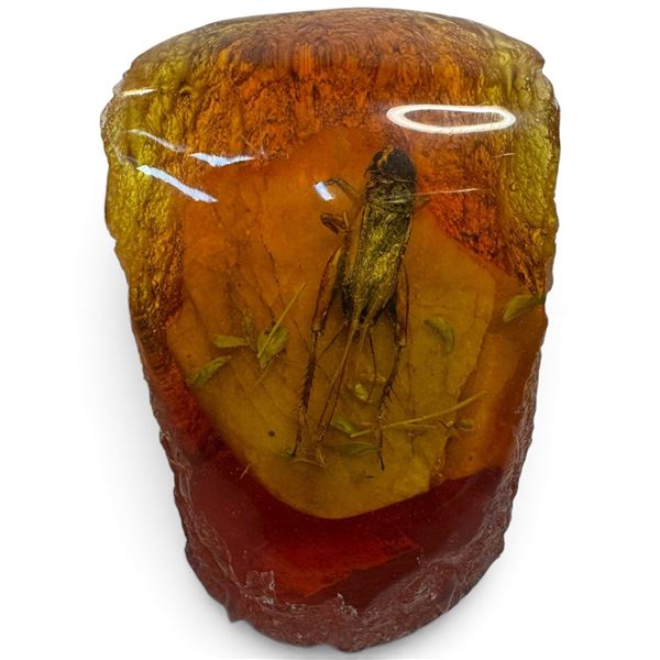 Insect in Amber-Style Resin * 3" tall x 2.5" diameter