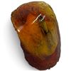 Image 2 : Insect in Amber-Style Resin * 3" tall x 2.5" diameter