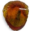 Image 3 : Insect in Amber-Style Resin * 3" tall x 2.5" diameter