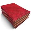 Image 2 : Five Italian Adventure Novels by Emilio & Omar Salgari, Illustrated Red Hardcovers