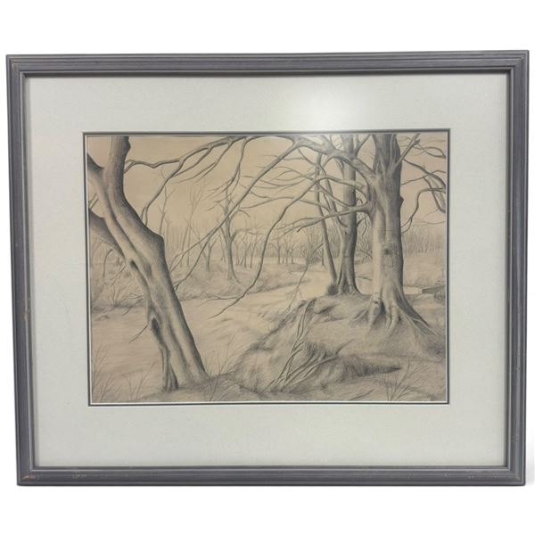 Unsigned Graphite Woodland Landscape Drawing, Matted & Framed (22.5 x 19 in.)
