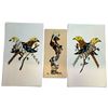 Image 1 : Signed Three-Piece Butterfly-Wing Collage Set, Birds & Figure (Larger ones 9.5 x 16 in.)