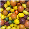 Image 2 : Large Assortment of Decorative Faux Fruit & Vegetables in Varied Colors and Forms