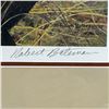 Image 3 : Robert Bateman "New Season-American Robin" Signed Publisher's Proof 3/20 (21 x 25.5 in.)