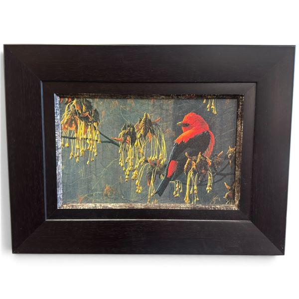 Robert Bateman Scarlet Tanager & Alder Blossoms Framed Wildlife Print (18 x 13.5 in.)